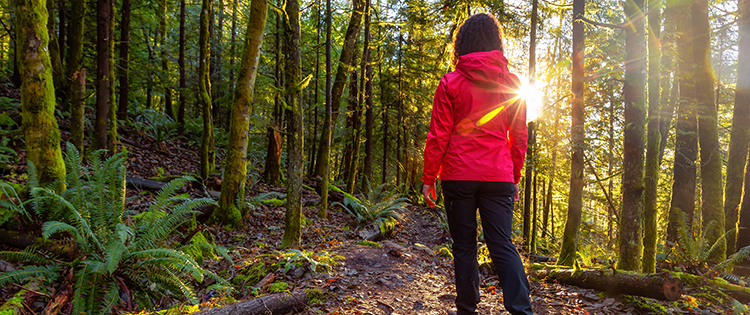 Walking in woods