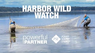 Powerful Partner - Harbor Wild Watch