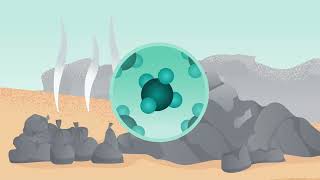 RNG Business YouTube video thumbnail