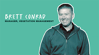 Vegetation Management thumbnail