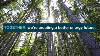 Together 12 Winston Creek Carbon Project An innovative forest management project by Port Blakely320