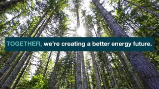 Together 12 Winston Creek Carbon Project Blakely320 的创新森林管理项目
